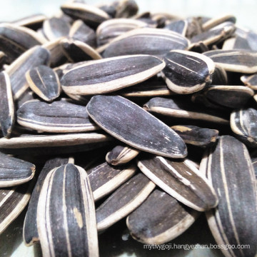 Price of Top Grade 5009 Black Sunflower Seeds 24/64 22/64 20/64